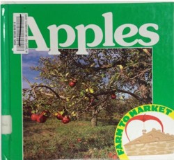 Apples