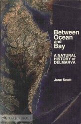 Between Ocean and Bay