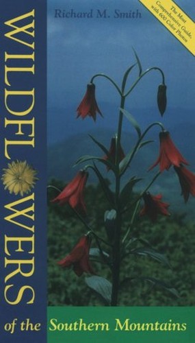 Wildflowers Southern Mountains