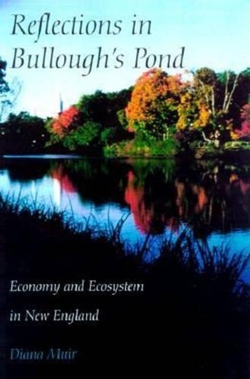 Reflections in Bullough's Pond