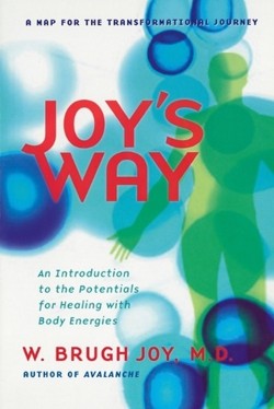 Joy'S Way