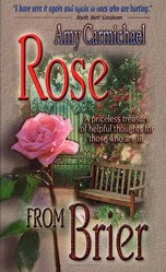Rose From Brier