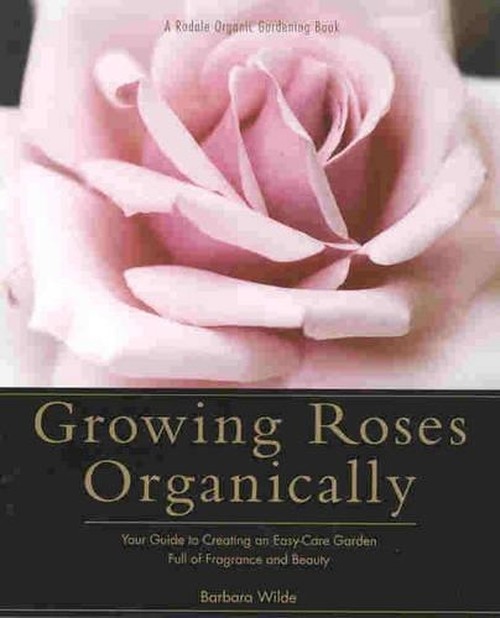Growing Roses Organically
