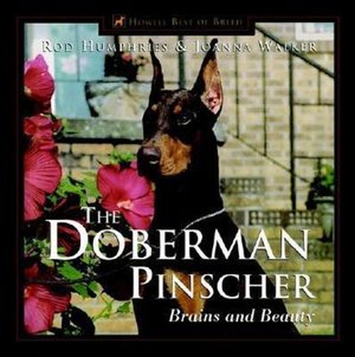The Doberman Pinscher