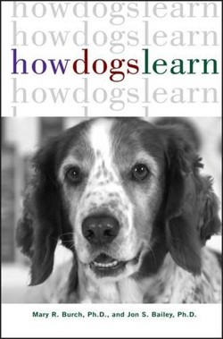 How Dogs Learn