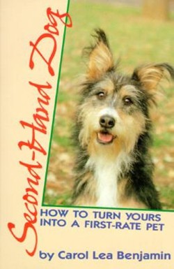 Second-Hand Dog