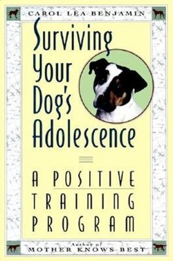 Surviving Your Dog's Adolescence