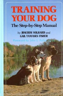 Training Your Dog