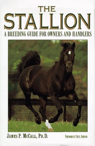 The Stallion (Cloth)