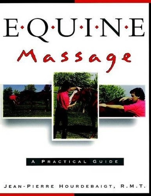 Equine Massage Therapy