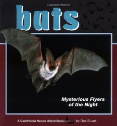 Bats