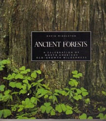 Ancient Forests
