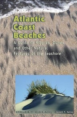 Atlantic Coast Beaches
