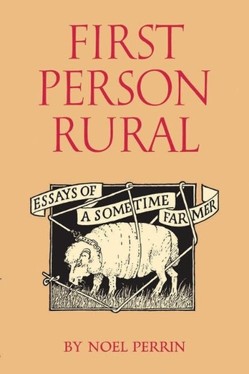 First Person Rural