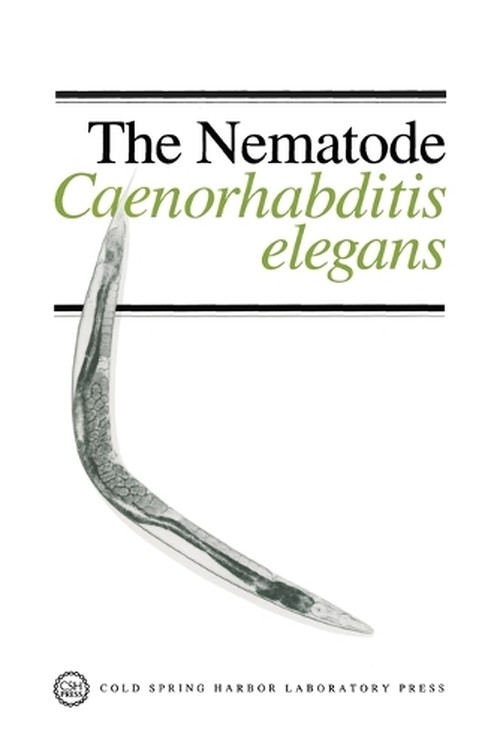 Nematode, Caenorhabditis Elegans