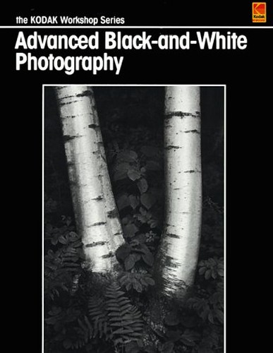 Advanced Black and White Photography