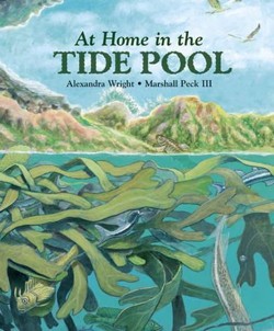 At Home in the Tide Pool