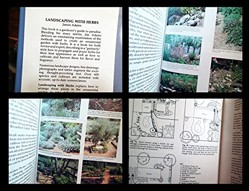 Landscaping with Herbs