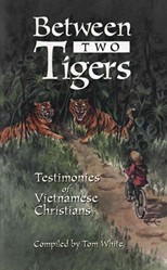 Between Two Tigers