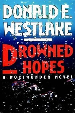 Drowned Hopes