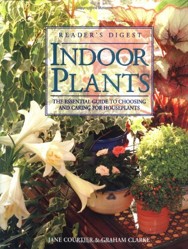 Indoor Plants