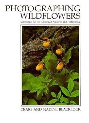 Photographing Wildflowers