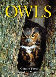 Owls