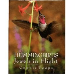 Hummingbirds