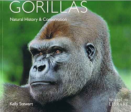 Gorillas