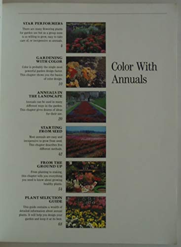 Colour with Annuals