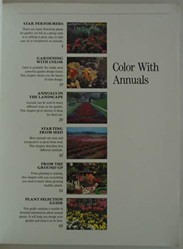 Colour with Annuals