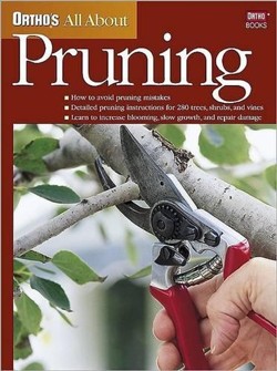 Pruning