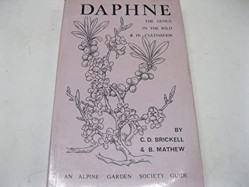 Daphne