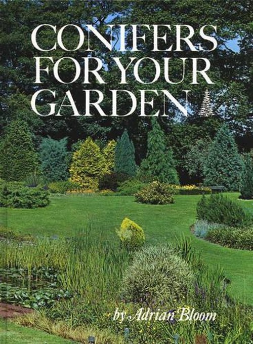 Conifers for Your Garden