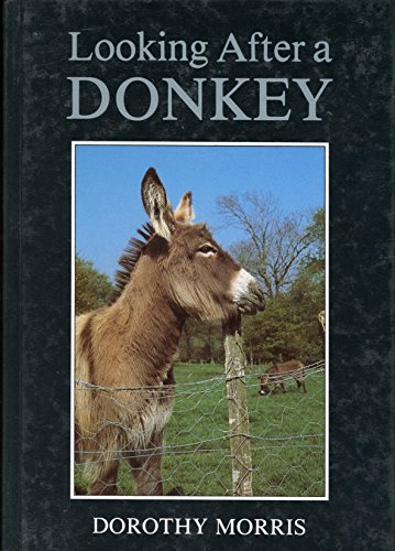 Looking After a Donkey