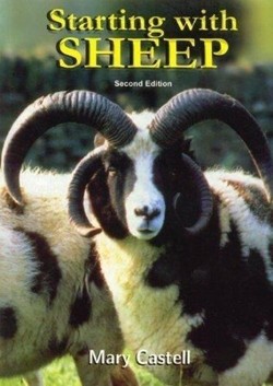 Starting with Sheep