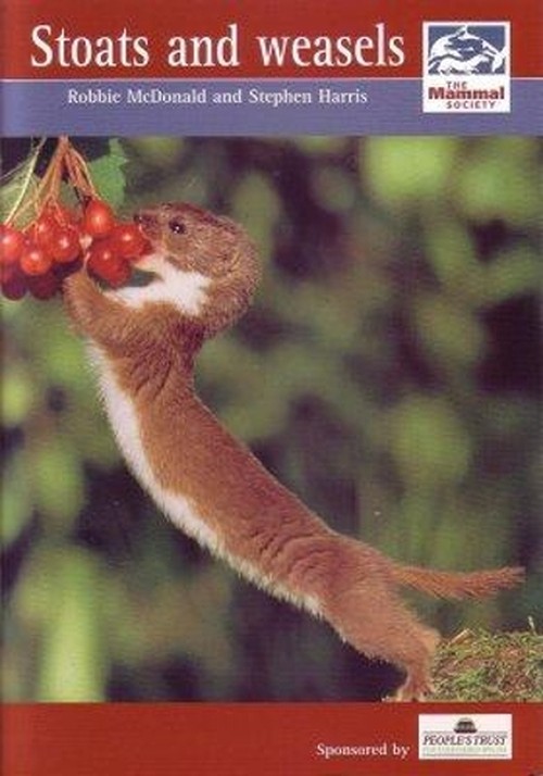 Stoats and Weasels