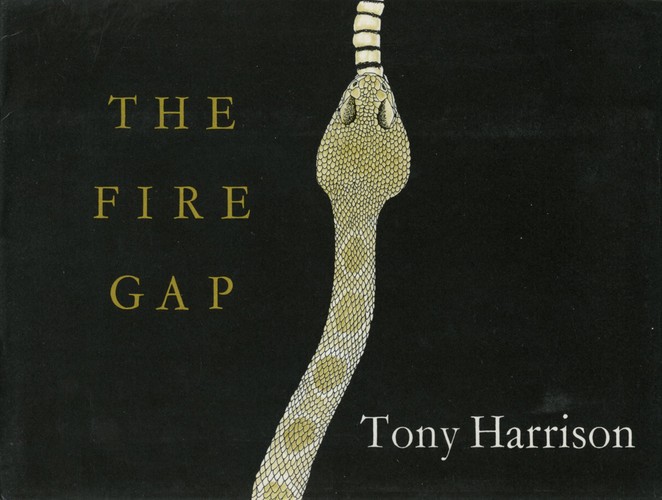 The Fire Gap