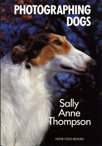 Photographing Dogs