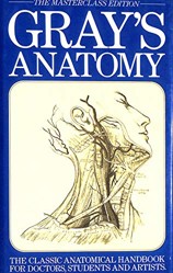 Anatomy