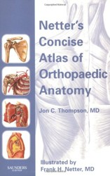 Netter's Concise Atlas of Orthopaedic Anatomy