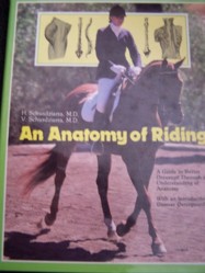 An Anatomy of Riding