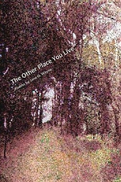 The Other Place You Live