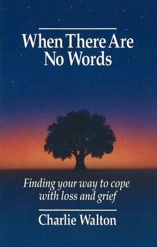 When There are No Words