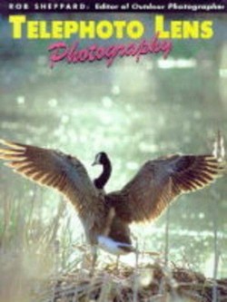 Telephoto Lens Photography