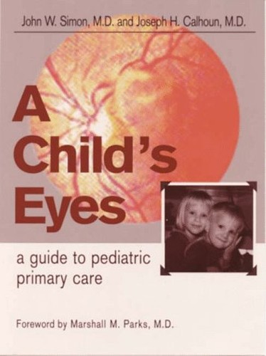 A Child's Eyes