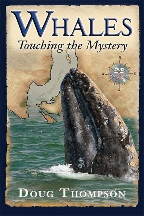 Whales