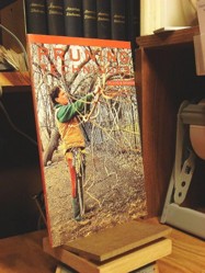 Pruning Techniques