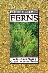 Ferns