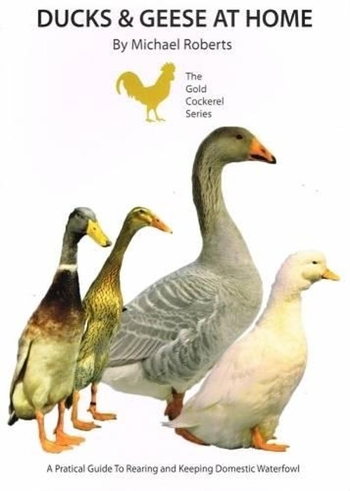 Ducks and Geese at Home
